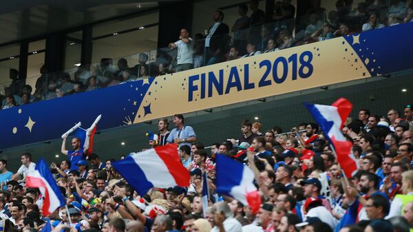 Болельщики сборной Франции во время финального матча ЧМ по футболу 
