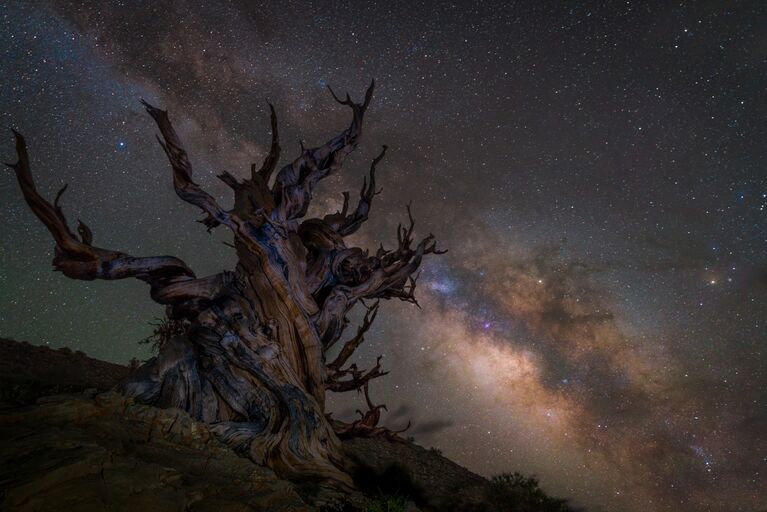 Работа фотографа Jez Hughes Guarding the galaxy, вошедшая в шорт-лист Insight Astronomy Photographer of the Year 2018