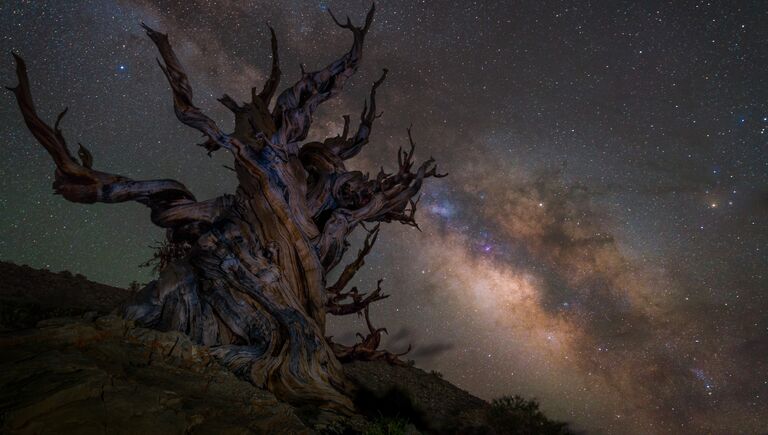 Работа фотографа Jez Hughes Guarding the galaxy, вошедшая в шорт-лист Insight Astronomy Photographer of the Year 2018