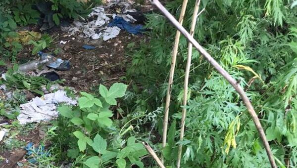 В Самаре обнаружено тело 7-летней девочки. 21 июля 2018