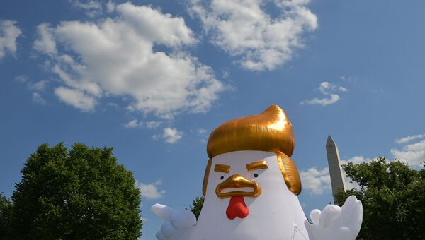 Надувная фигура, изображающая президента США Дональда Трампа в виде цыпленка