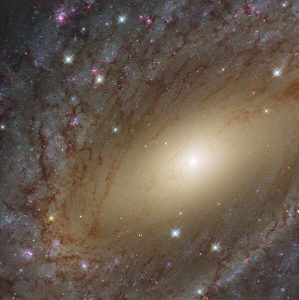 Галактика NGC 6744 в созвездии Павлина