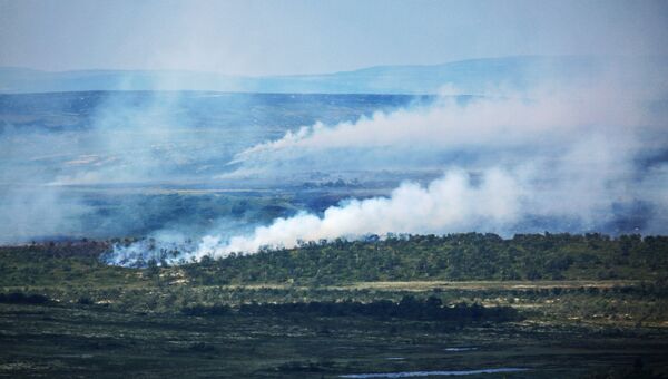 Лесные пожары в тундре в Мурманской области. Архивное фото