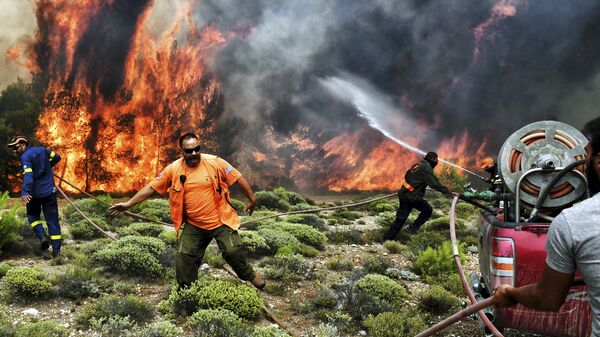 Пожарные и волонтеры пытаются потушить лесной пожар в деревне Кинета, недалеко от Афин. 24 июля 2018 года