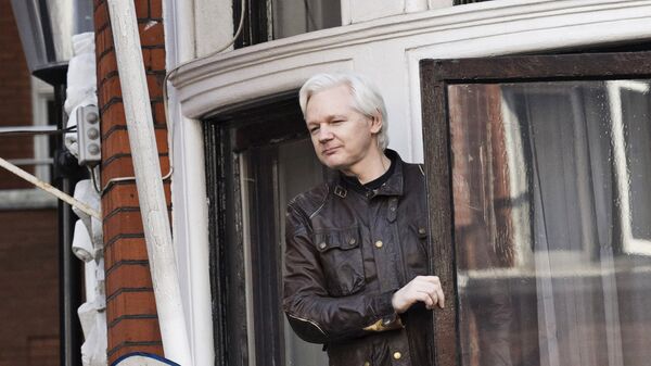 Сооснователь WikiLeaks Джулиан Ассанж на балконе посольства Эквадора в Лондоне. Архивное фото