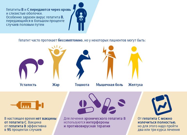 Вирус гепатита Вирус гепатита