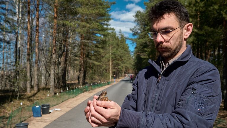 Некоторые волонтеры так сильно привязываются к своим подопечным в приютах, что не расстаются с ними практически ни на минуту или забирают к себе домой