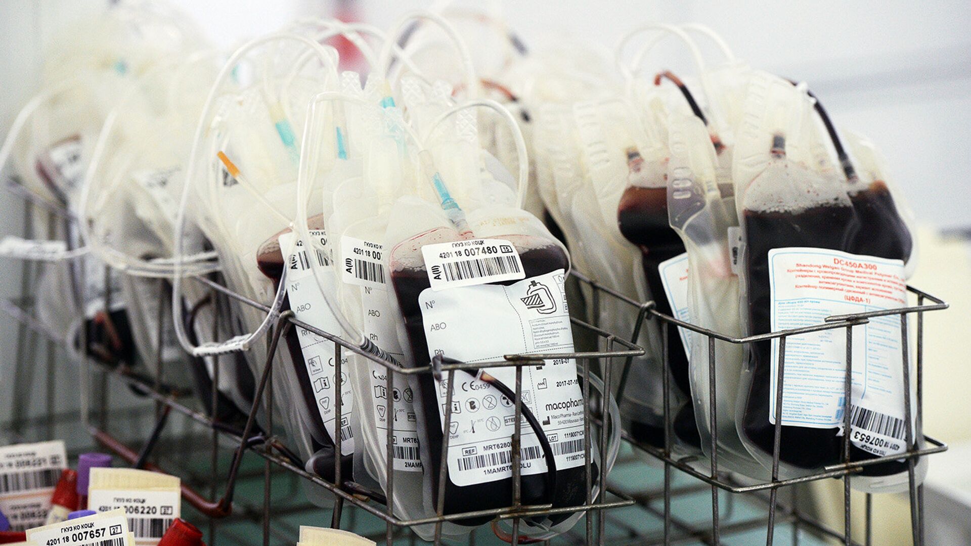 Владимирские доноры сдали 7 тысяч литров крови - РИА Новости, 1920, 20.04.2022