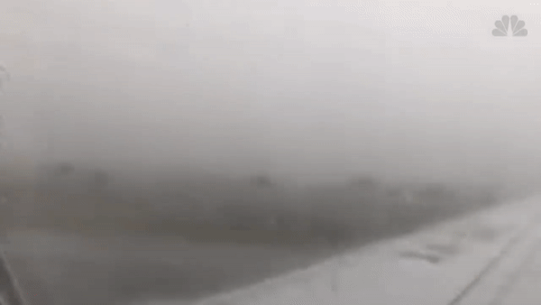Опубликовано видео из салона падающего самолета в Мексике