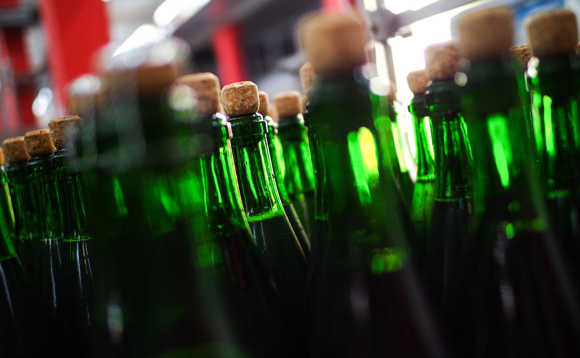 Бутылки - РИА Новости, 1920, 04.12.2025