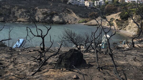После лесных пожаров в Греции. Архивное фото