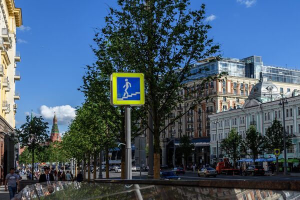Липовая аллея на Тверской улице в Москве Липовая аллея на Тверской улице в Москве