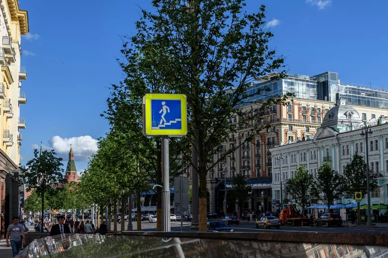Липовая аллея на Тверской улице в Москве Липовая аллея на Тверской улице в Москве