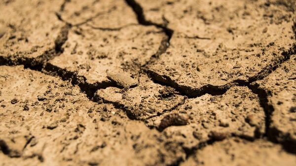 В восьми районах Чувашии ввели режим ЧС из-за засухи