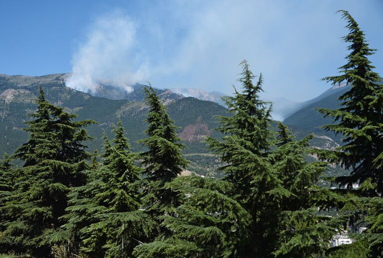 Возгорание в ущелье Уч-Кош в районе Ялты. 12 августа 2018 Возгорание в ущелье Уч-Кош в районе Ялты. 12 августа 2018