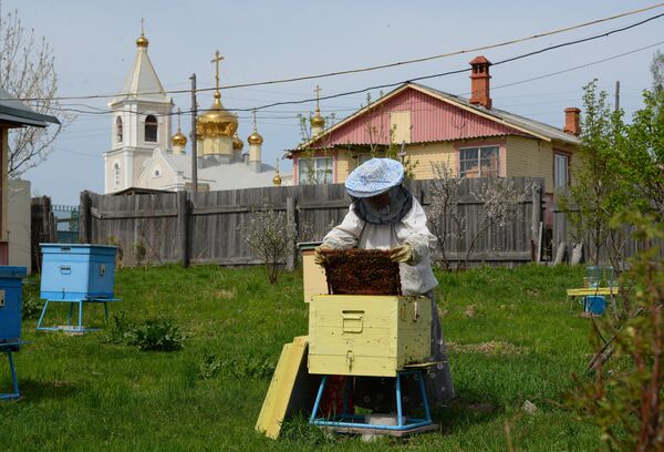 Карта петропавловка хабаровский край