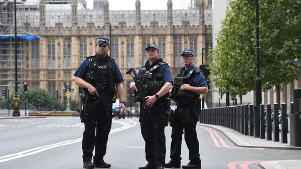 Сотрудники полиции у здания парламента в Лондоне