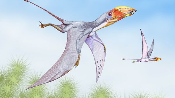 Птерозавры колонизовали Землю практически сразу после их появления