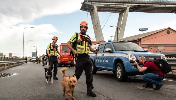 Сотрудники полиции со служебными собаками на месте обрушения автомобильного моста Моранди в Генуе