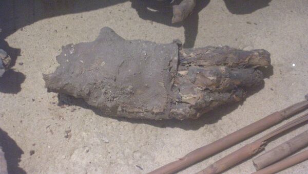Рука мумии, хранившаяся в музее Турина более века