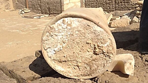 Сыр, найденный в гробнице мэра Мемфиса в Саккаре