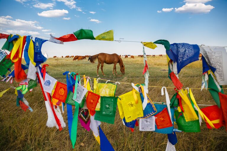 На лоскутах, висящих на веревках, написаны молитвы, оставленные посетителями памятника природы регионального значения - Одинокого Тополя и восьми буддийских ступ На лоскутах, висящих на веревках, написаны молитвы, оставленные посетителями памятника природы регионального значения - Одинокого Тополя и восьми буддийских ступ