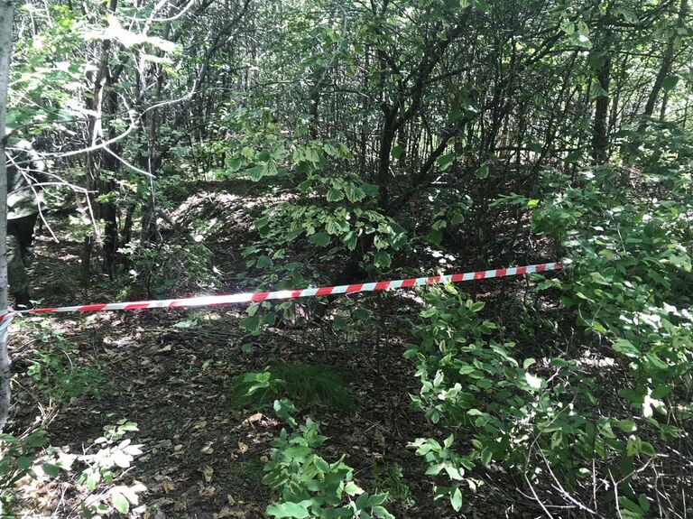 Подросток признался в убийстве 10-летней девочки под Хабаровском Подросток признался в убийстве 10-летней девочки под Хабаровском