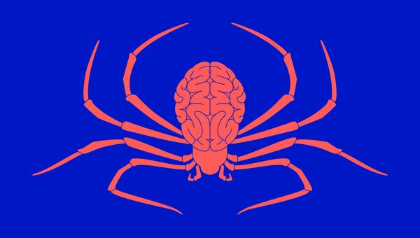 Яд паука поможет защитить мозг от гибели
