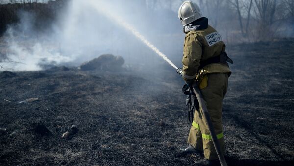Сотрудник пожарной охраны МЧС РФ ликвидирует возгорание травы. Архивное фото