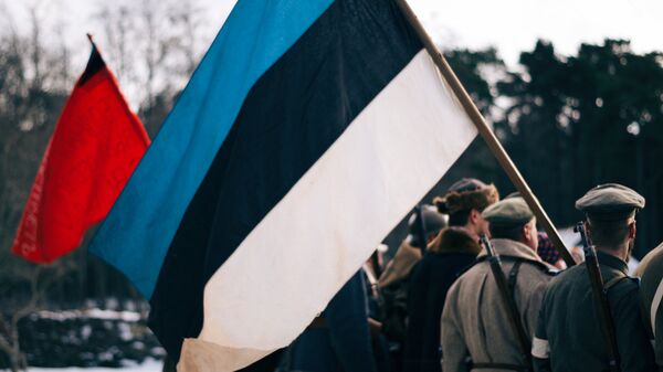 Флаг во время исторической реконструкции в день независимости Эстонии