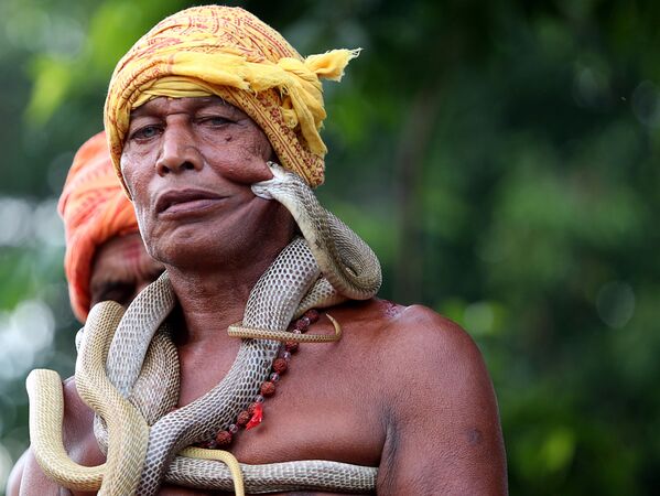 Заклинатель змей на фестивале в Дхалбхумгархе, Индия
