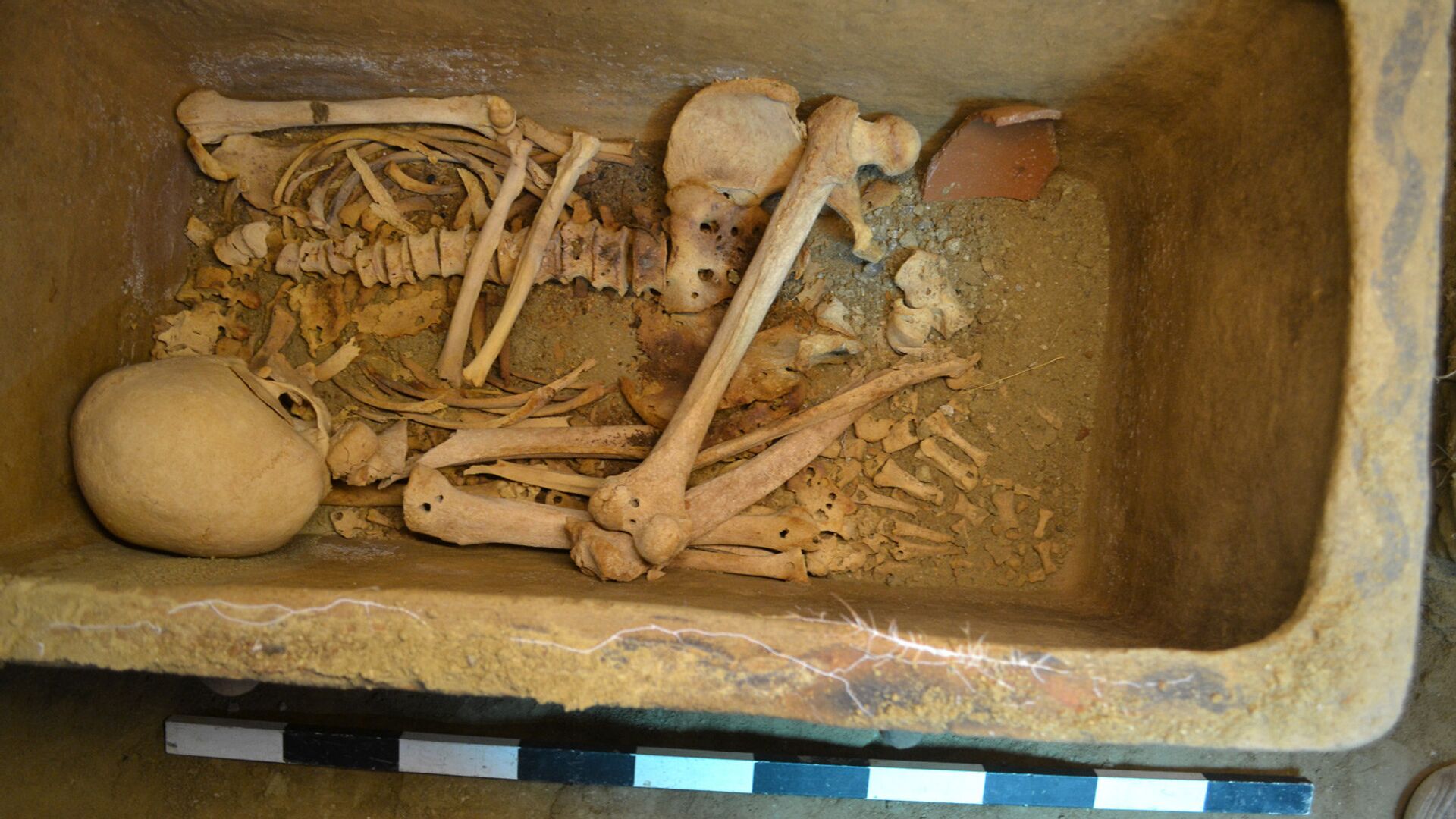 Человеческие останки в гробнице, найденные в районе Иерапетра на Крите. 25 августа 2018 - РИА Новости, 1920, 10.11.2020