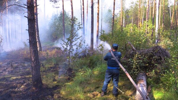 Работы по тушению природного пожара в Петушинском районе Владимирской