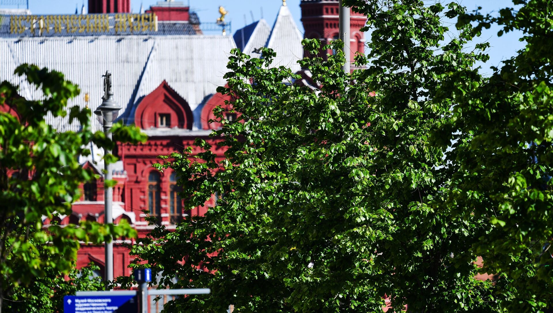 Липы на Тверской улице в Москве - РИА Новости, 1920, 28.08.2018