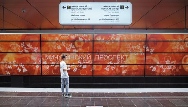 Пассажир на станции Мичуринский проспект Калининско-Солнцевской линии Московского метрополитена