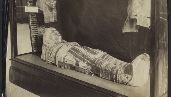 Древнеегипетская мумия, выставленная в музее Стэнфорда