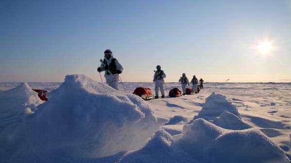 Участники комплексной экспедиции к Северному полюсу, организованной Экспедиционным центром Министерства обороны РФ в Арктике