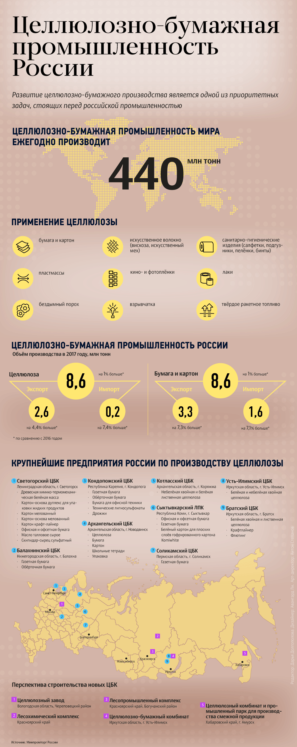 Целлюлозно-бумажная промышленность в России