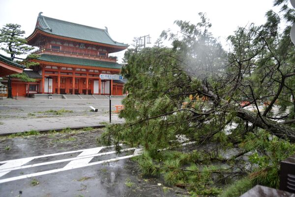 Последствия прохождения тайфуна Джеби в Японии