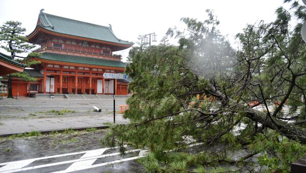Последствия прохождения тайфуна Джеби в Японии