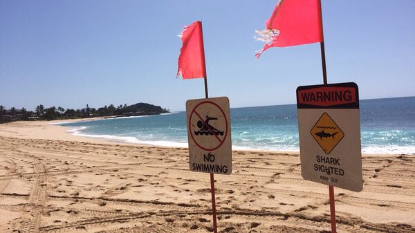 Предупреждение об акулах на пляже