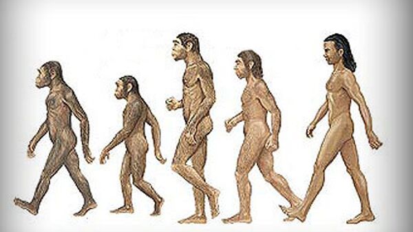 Эволюция человека 