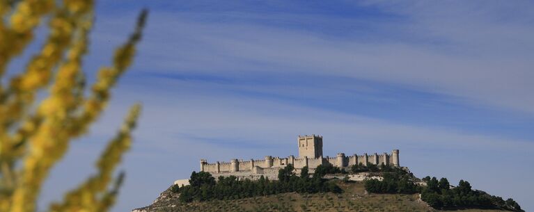 Испанский музей вина Museo Provincial del Vino, Penafiel