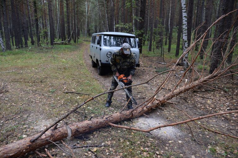 Госинспектор в области охраны окружающей среды Алтайприроды Сергей Байдуков расчищает дорогу