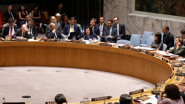 LIVE: Заседание Совбеза ООН по ситуации в сирийском Идлибе