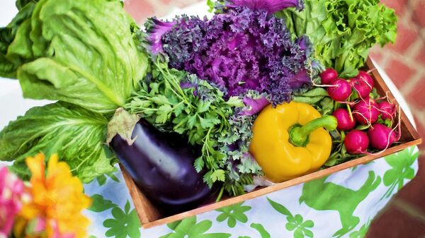 Салат и овощи