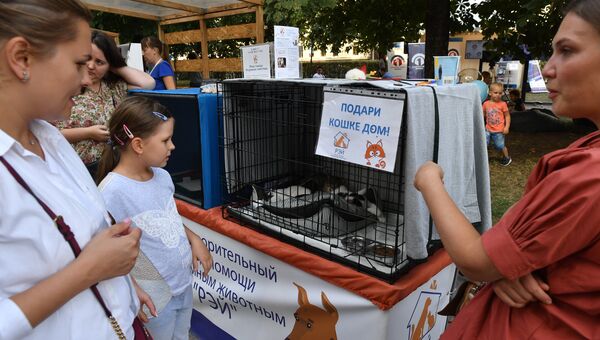 Организаторы праздника уделили внимание и заботе о домашних животных.