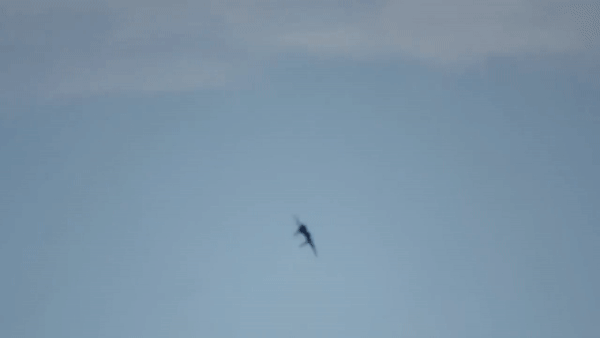 Полет Су-35С над островом Русский