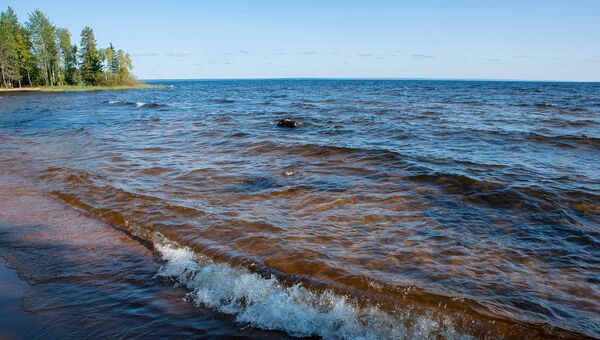 Активисты ОНФ провели уборку на берегах Онежского озера