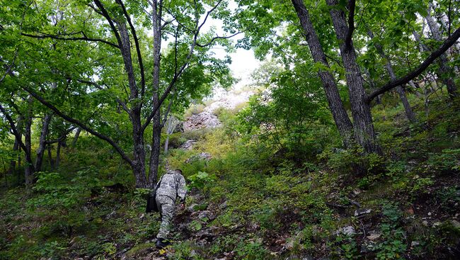 Подведены итоги Всероссийского конкурса Зелёный маршрут